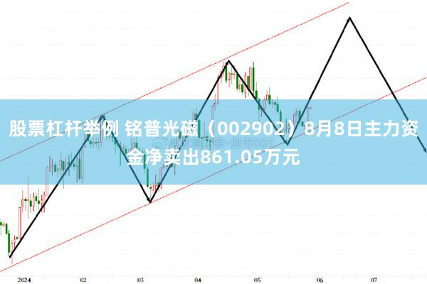 股票杠杆举例 铭普光磁（002902）8月8日主力资金净卖出861.05万元