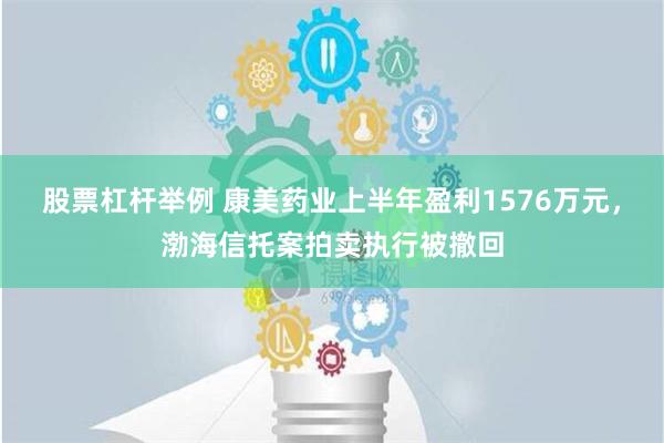 股票杠杆举例 康美药业上半年盈利1576万元，渤海信托案拍卖执行被撤回