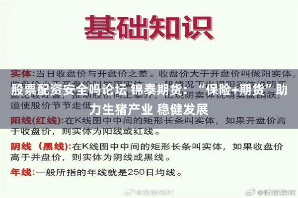 股票配资安全吗论坛 锦泰期货：“保险+期货”助力生猪产业 稳健发展