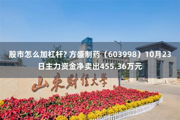 股市怎么加杠杆? 方盛制药（603998）10月23日主力资金净卖出455.36万元