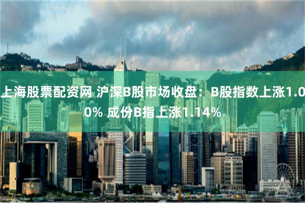 上海股票配资网 沪深B股市场收盘：B股指数上涨1.00% 成份B指上涨1.14%